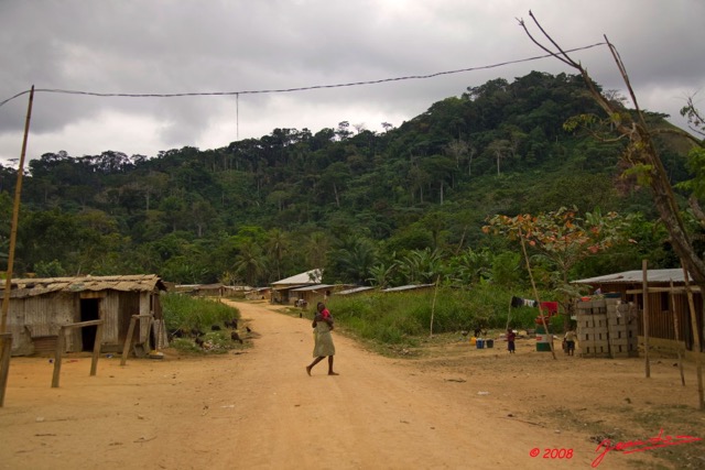 Le Massif du CHAILLU